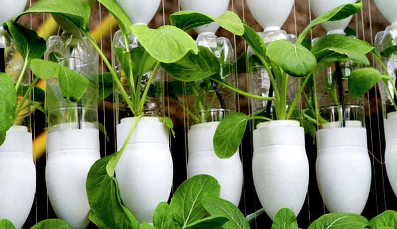 hydroponic plant growing equiment is considered essential farming equipment