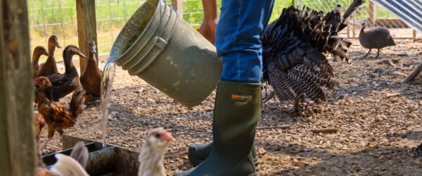 Step Into Comfort and Durability with the Dryshod Legend MXT Boot