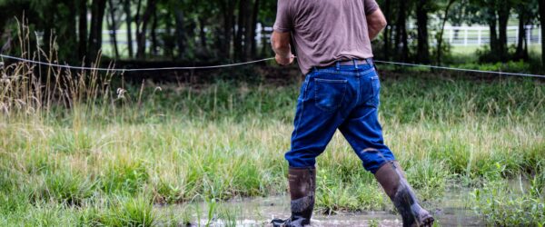 From Summer Heat to Winter Chill: Gear Up for Every Season on the Farm