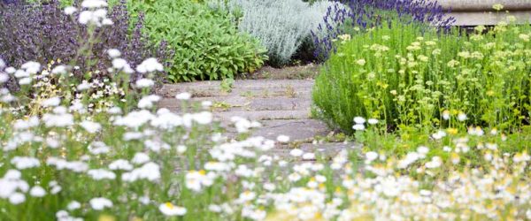 Build An Edible Living Laboratory To Inspire & Educate