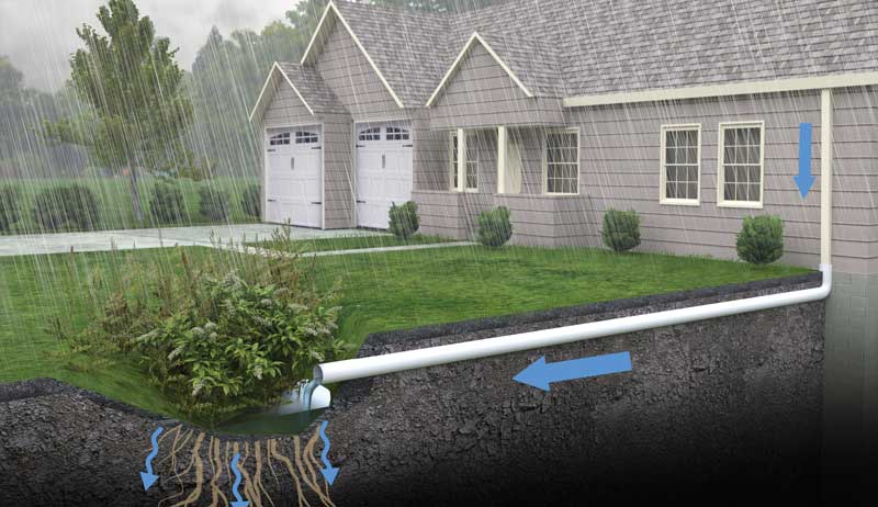 bioswales rain gardens