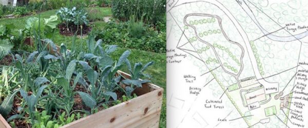 Get Into The Micro-Farming Movement