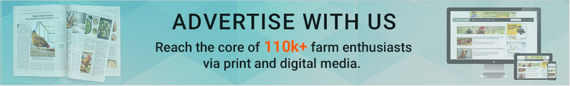 advertise-with-us-banner