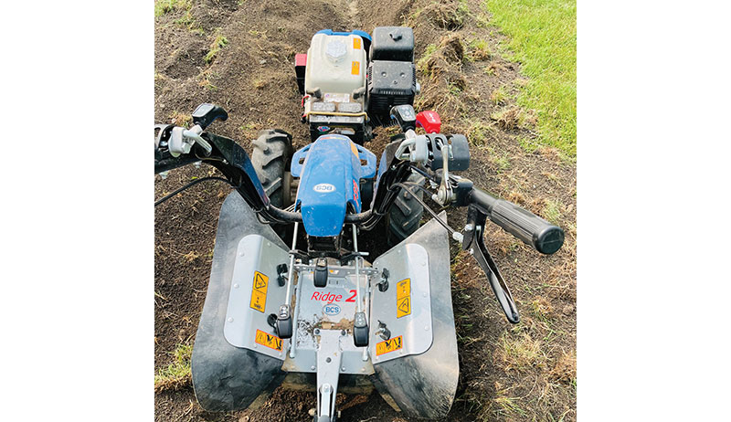 first-year garden BCS