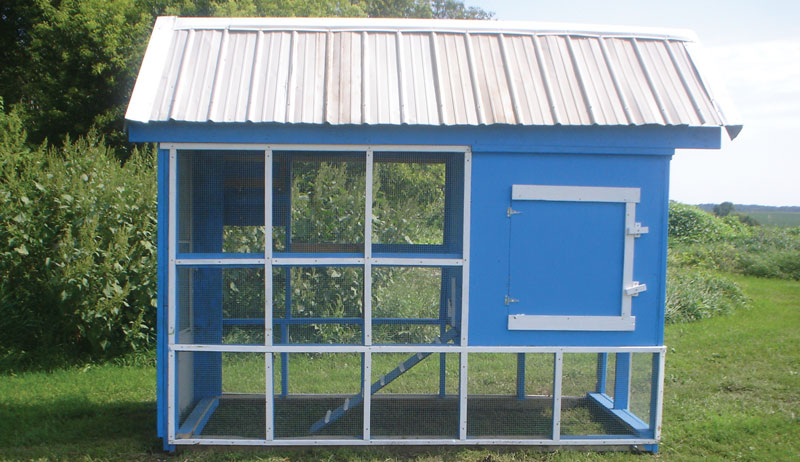 chickens dog kennel