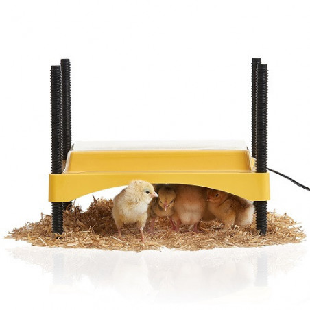 Brinsea EcoGlow Safety 600 Chick Brooder