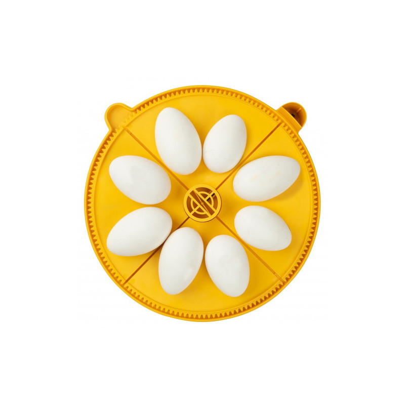 Brinsea Maxi Advance incubator extra large egg insert