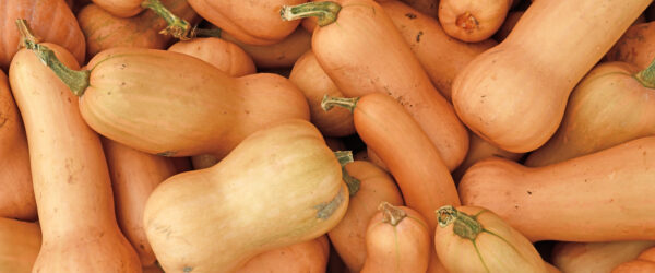 Butternut Squash: 5 Tips to Market Your Crop