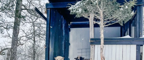 Livestock Chores and Checklists in Winter