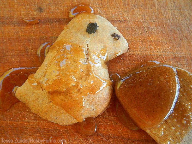 4 Sweet Ways to Celebrate Easter - Photo by Tessa Zundel (HobbyFarms.com)