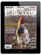 Chickens-Sep/Oct 2020 Digital