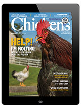 Chickens-September/October 2019 Digital