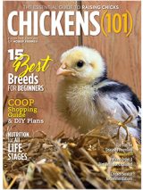 order the 2020 chickens 101 annual today