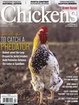chickens-sep/oct 2020
