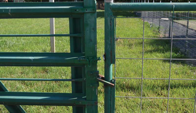 livestock fencing gate gates