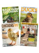 get all four chick days publications today