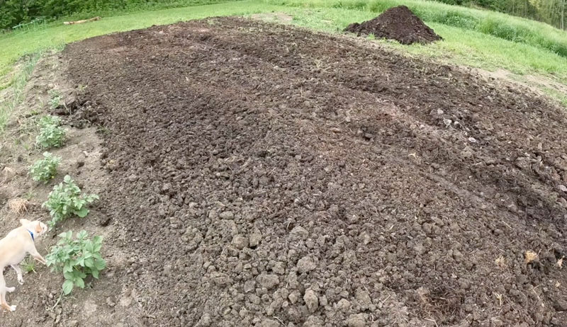 compost soil garden manure