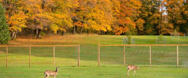 4 New Year’s Farming Resolutions For 2024