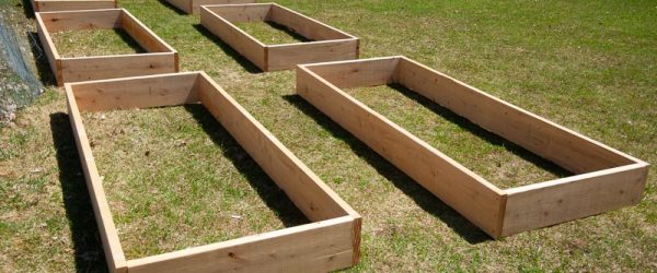 Raised Garden Bed Measurements: Tips For Measuring & Spacing