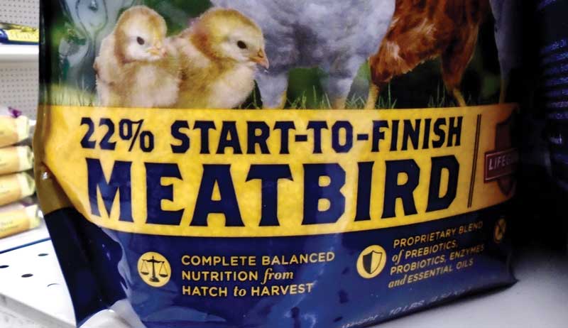 chicks waterer feed supplies equipment