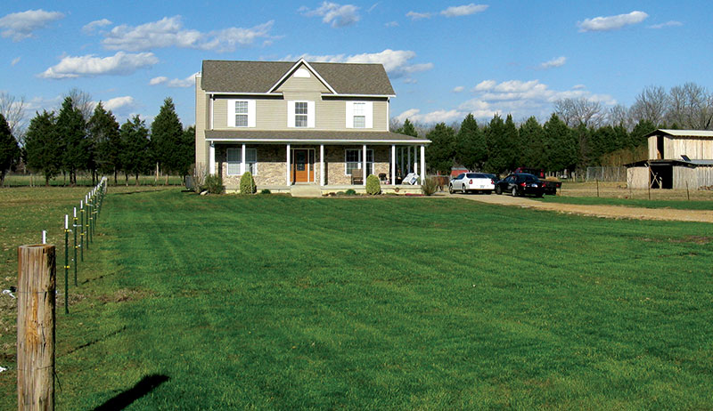 fall lawn care