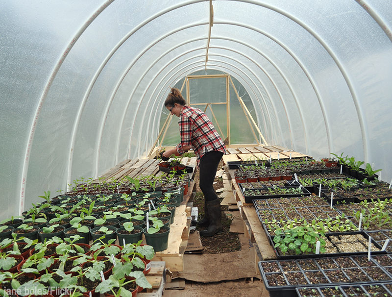 5 Places to Look For Farm Grants - Photo by jane boles/Flickr (HobbyFarms.com) #grants #farmfunding #beginningfarmer