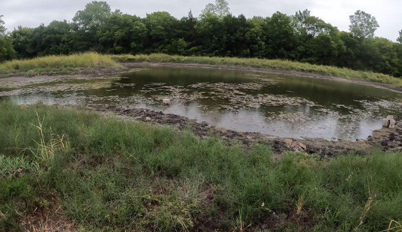 catch collect rainwater pond