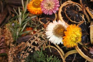 foraged findings to make homemade fire starters