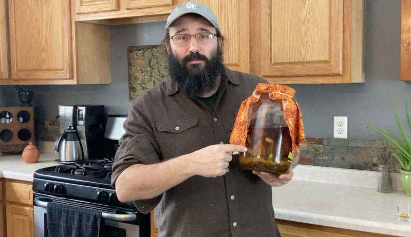 winter wellness homestead healthy herbs