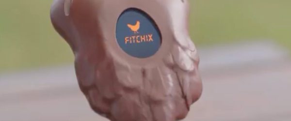 Chicken Trackers May Show If Your Flock Logs More Steps Than You