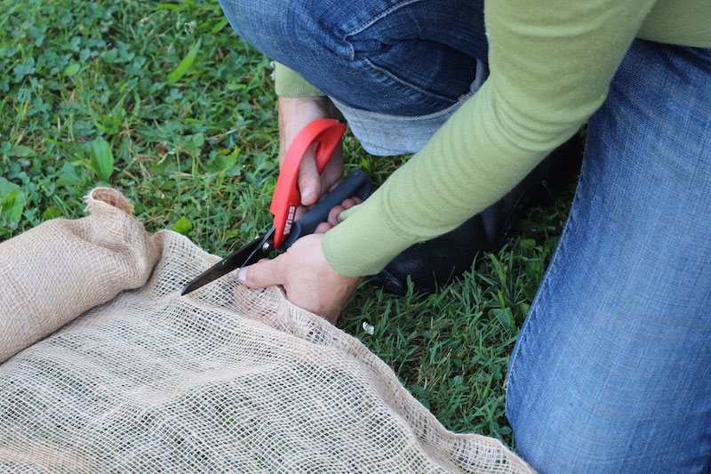 cutting burlap for a bucket garden