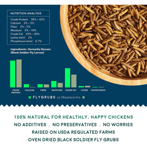 FLYGRUBS | Dried Black Soldier Fly Grubs for Birds Hens Ducks Reptiles (1 lb) -  Non-GMO - 85X More Calcium Than Meal Worms