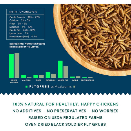 FLYGRUBS | Dried Black Soldier Fly Grubs for Birds Hens Ducks Reptiles (5 lb) -  Non-GMO - 85X More Calcium Than Meal Worms