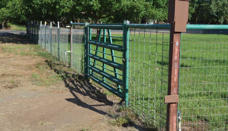 livestock fencing gate gates