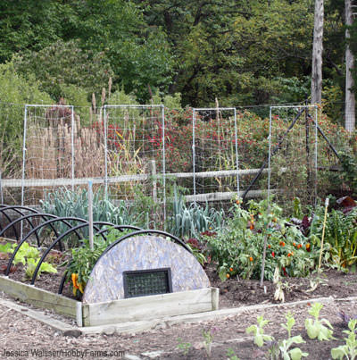 Green Spring Gardens - Photo by Jessica Walliser (HobbyFarms.com)