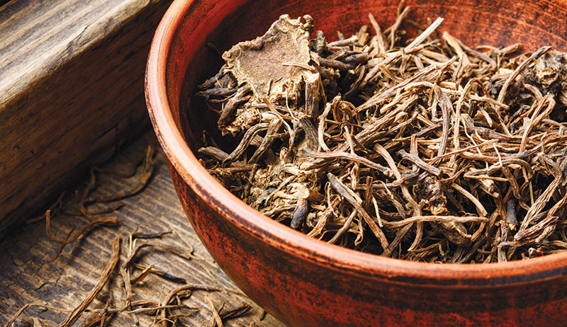valerian rhizome herbal sleep remedies