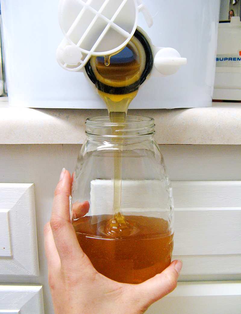 filling honey jars