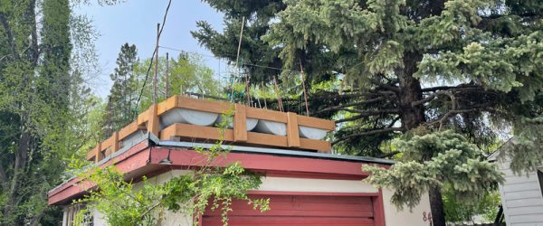 My Walk Across Winnipeg For Food Security