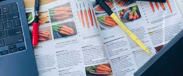 Fall Is the Right Time To Dig … Into Seed Catalogs!