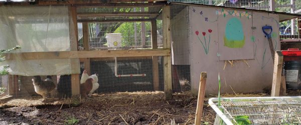 This Cool Coop Teaches Environmental Responsibility!