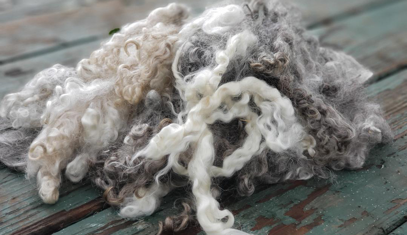 fiber goats mohair