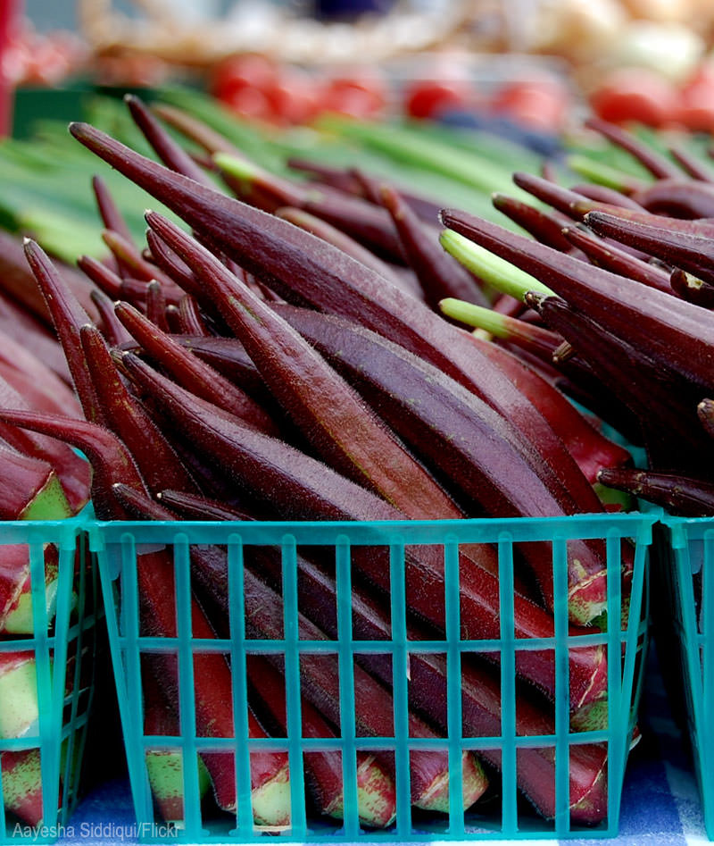 How to Grow Okra (HobbyFarms.com)