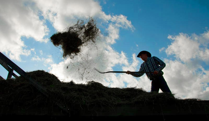 pitchfork pitchforks farm tools hay