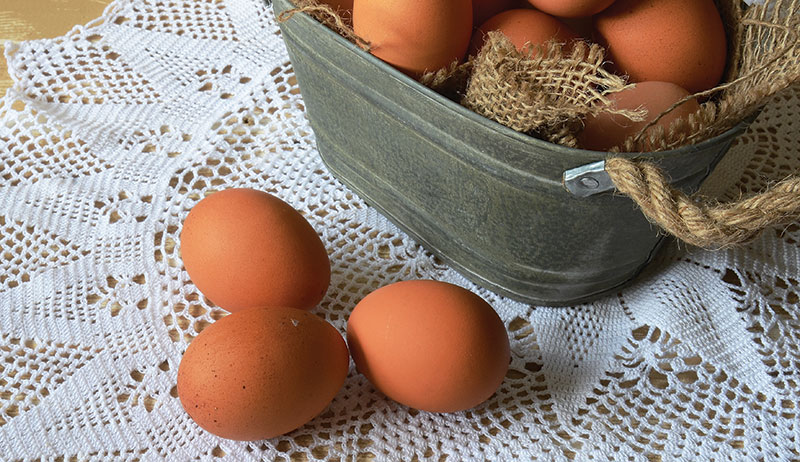 preserve chicken eggs extend shelf life
