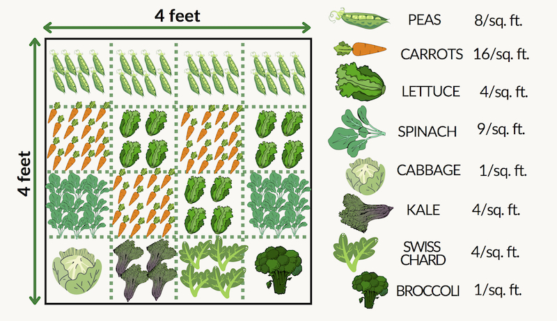 raised garden bed fall cool weather winter overwinter