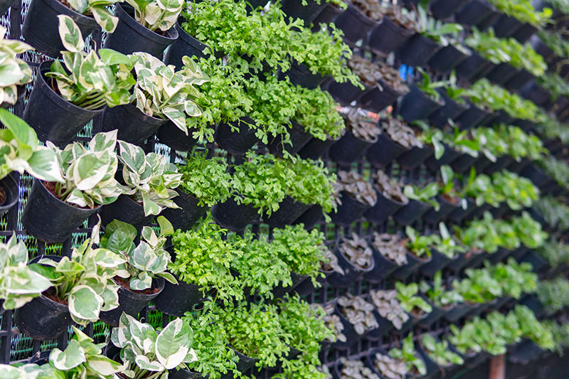 hobby farmers real vertical gardening
