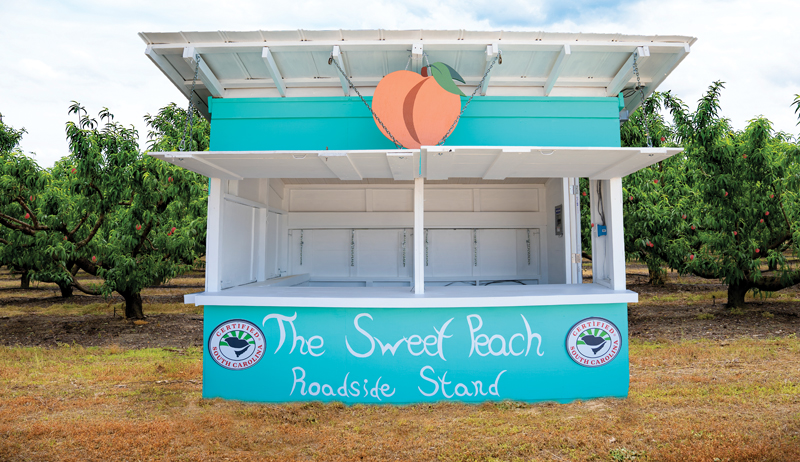 roadside stand stands farm market