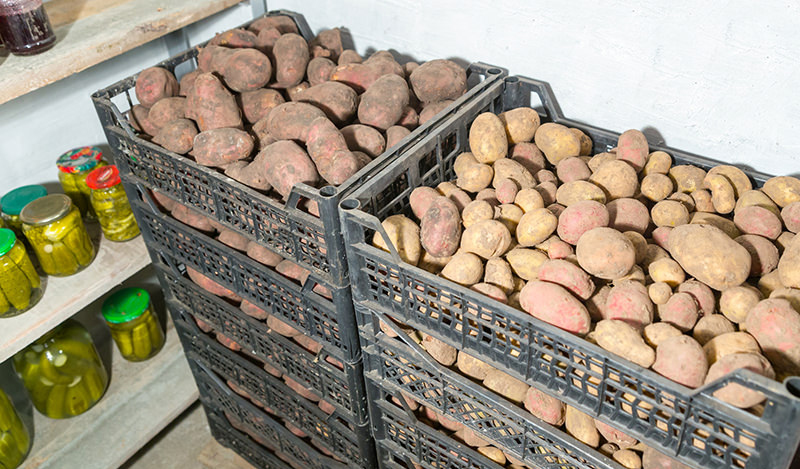 root cellar basement