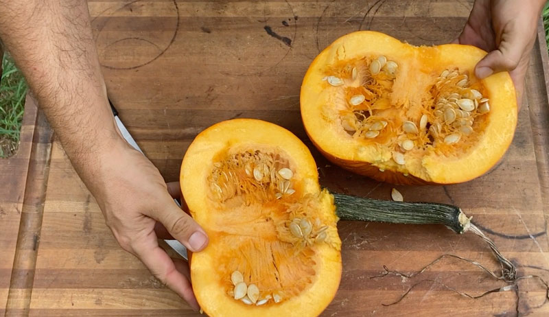 save squash pumpkins seeds