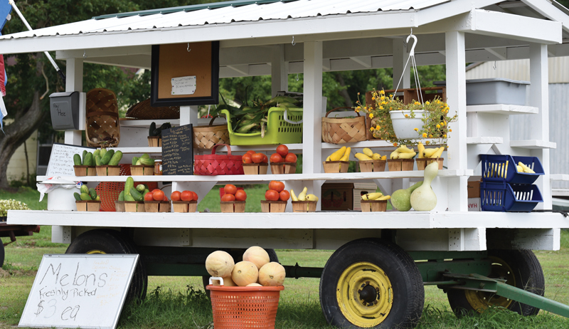 a fully stocked plant stand with summer fruits and veggies is a small farm income idea 